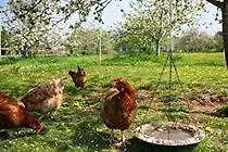 The Tithe Barn Hotel Chew Magna 3*,  United Kingdom